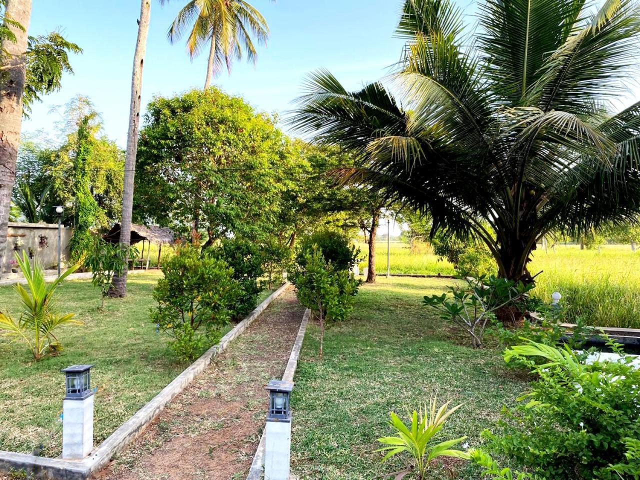 Athyantha Resort 阿努拉德普勒 外观 照片