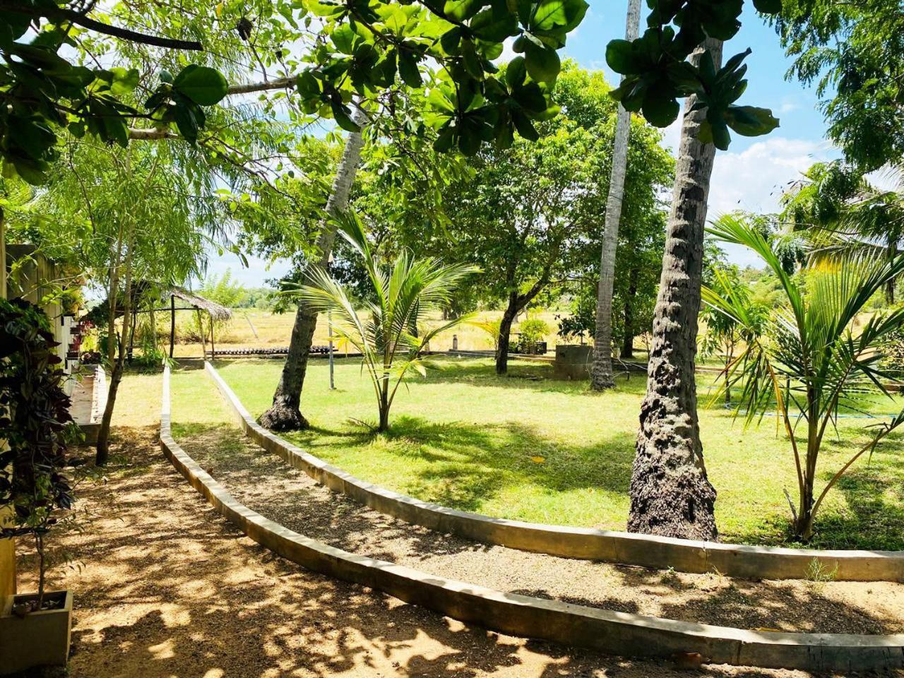 Athyantha Resort 阿努拉德普勒 外观 照片